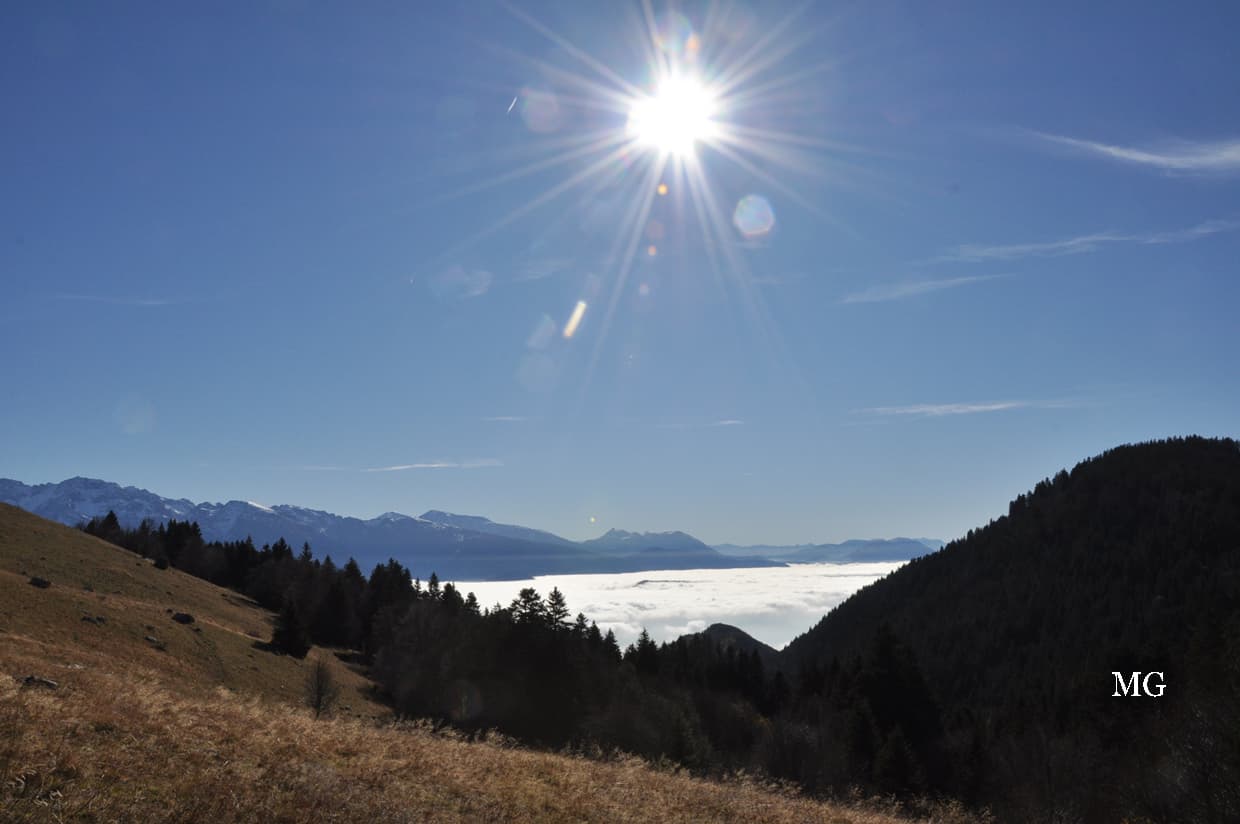 Monter prés du ciel pour trouver le soleil !!!