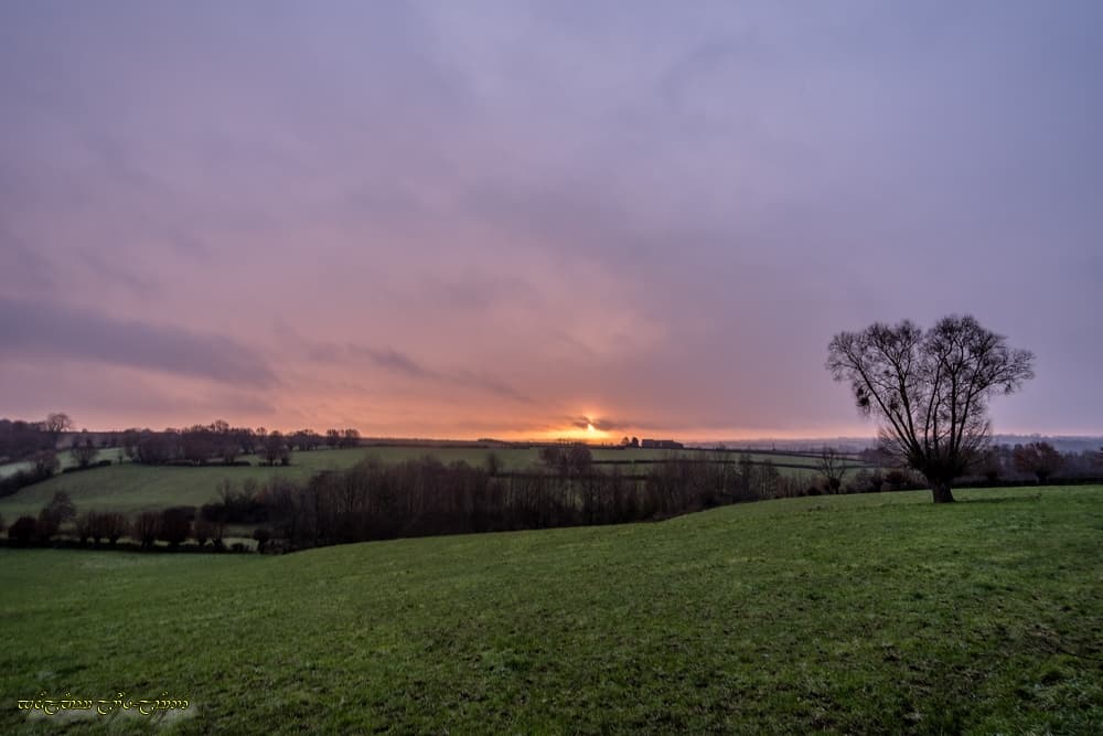 Proche disparition et tendres couleurs
