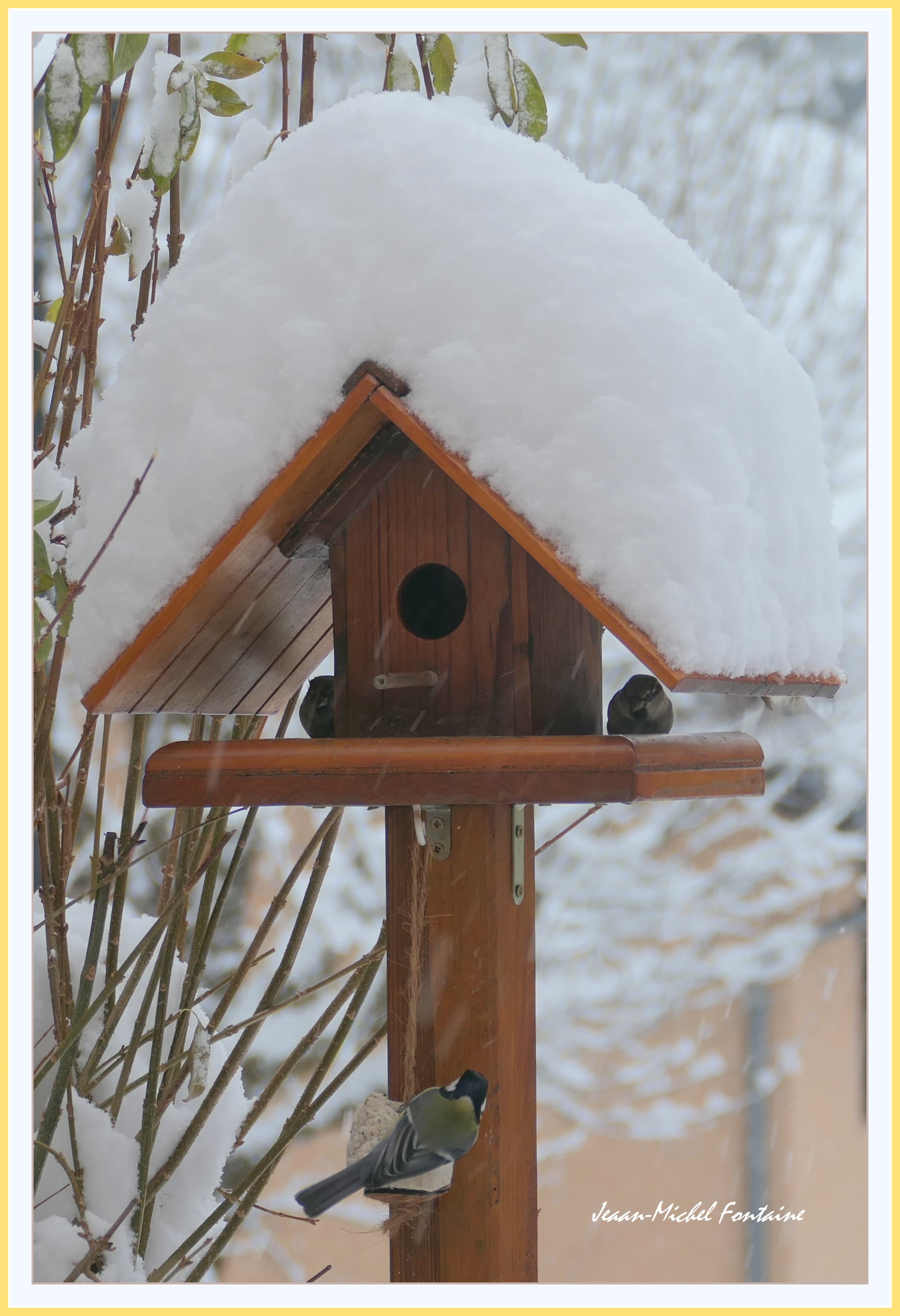 Abri mangeoire sous la neige