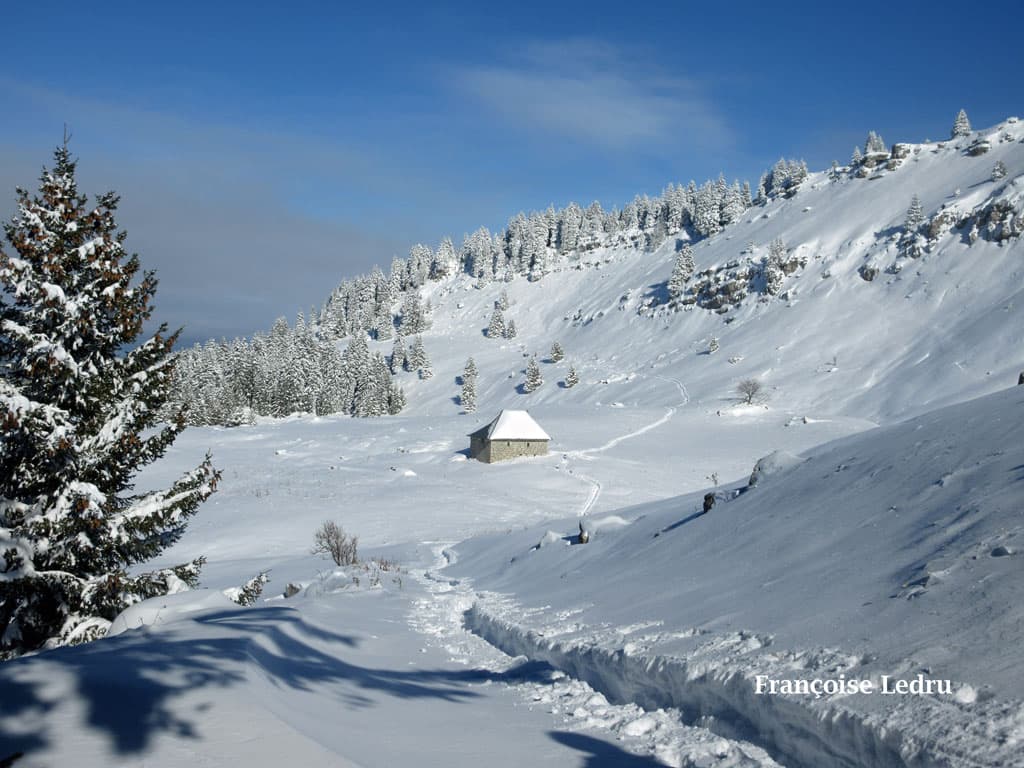 Beaucoup de neige en Chartreuse