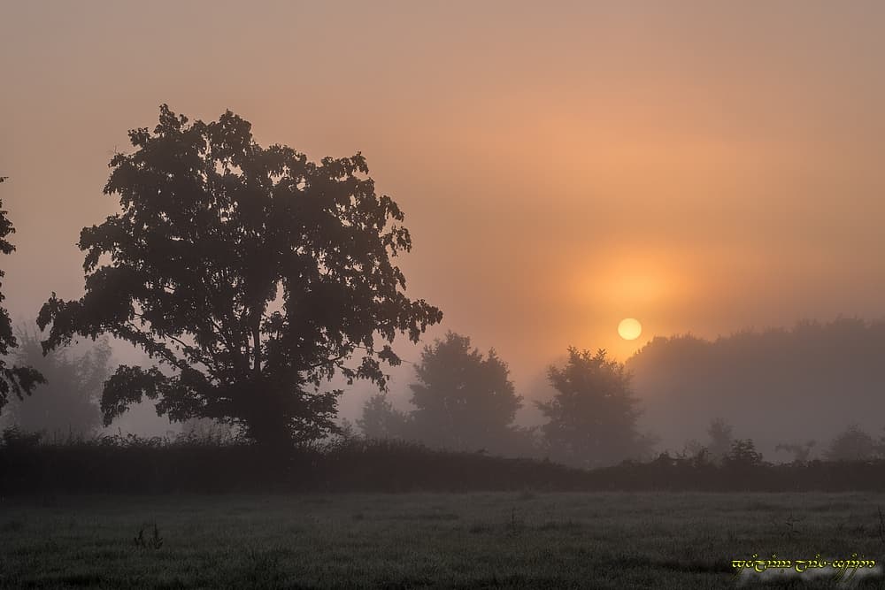 Filtrante est la brume