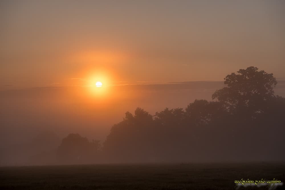 Sortie légèrement retardée