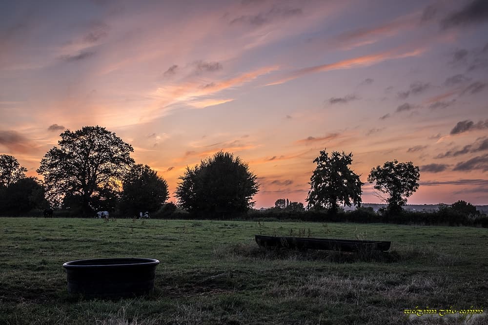 De la couleur au début