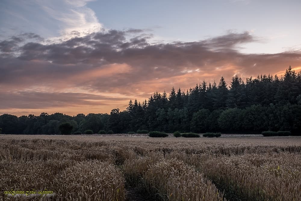 Toujours de la jolie couleur