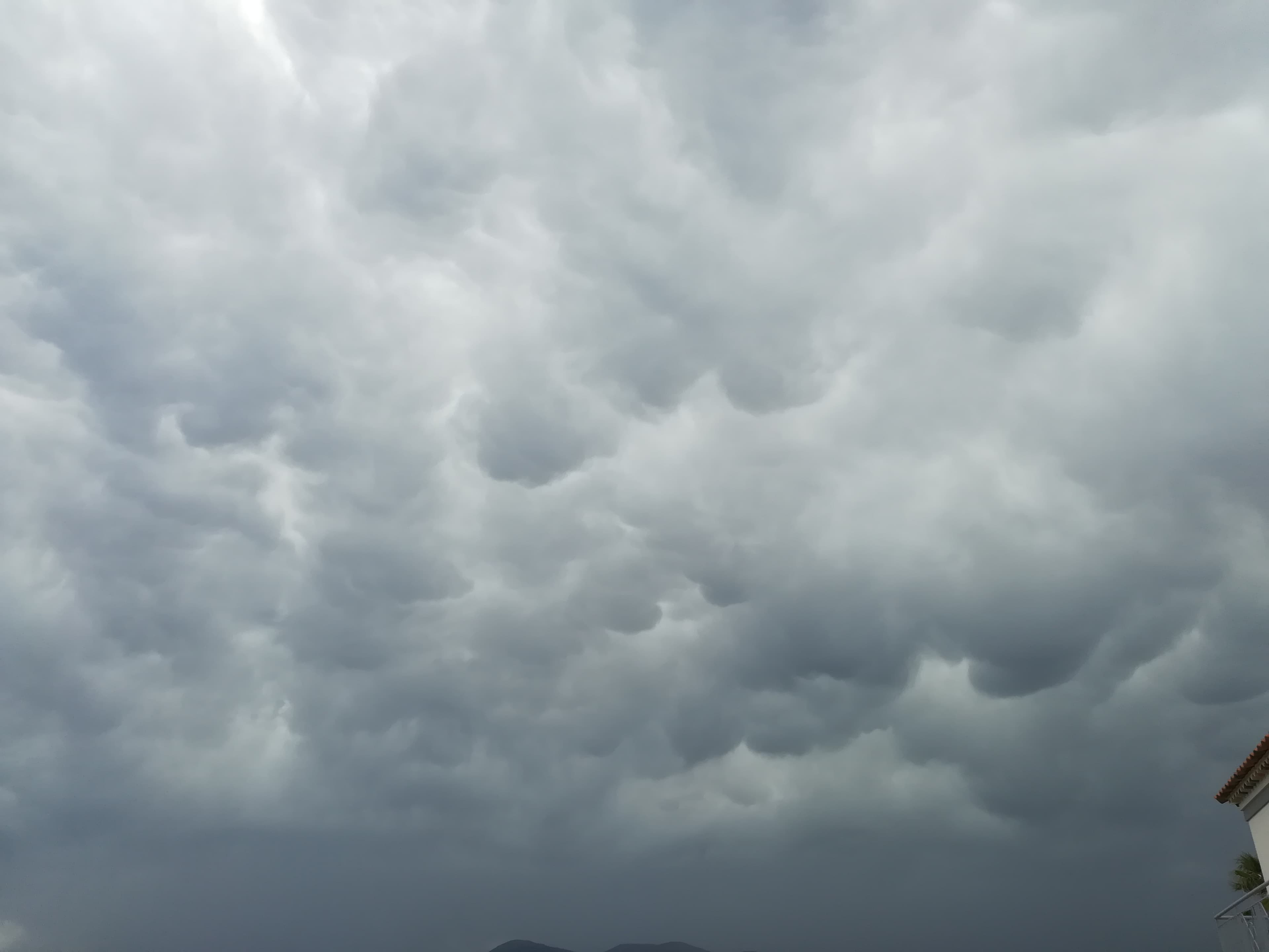 mammatus