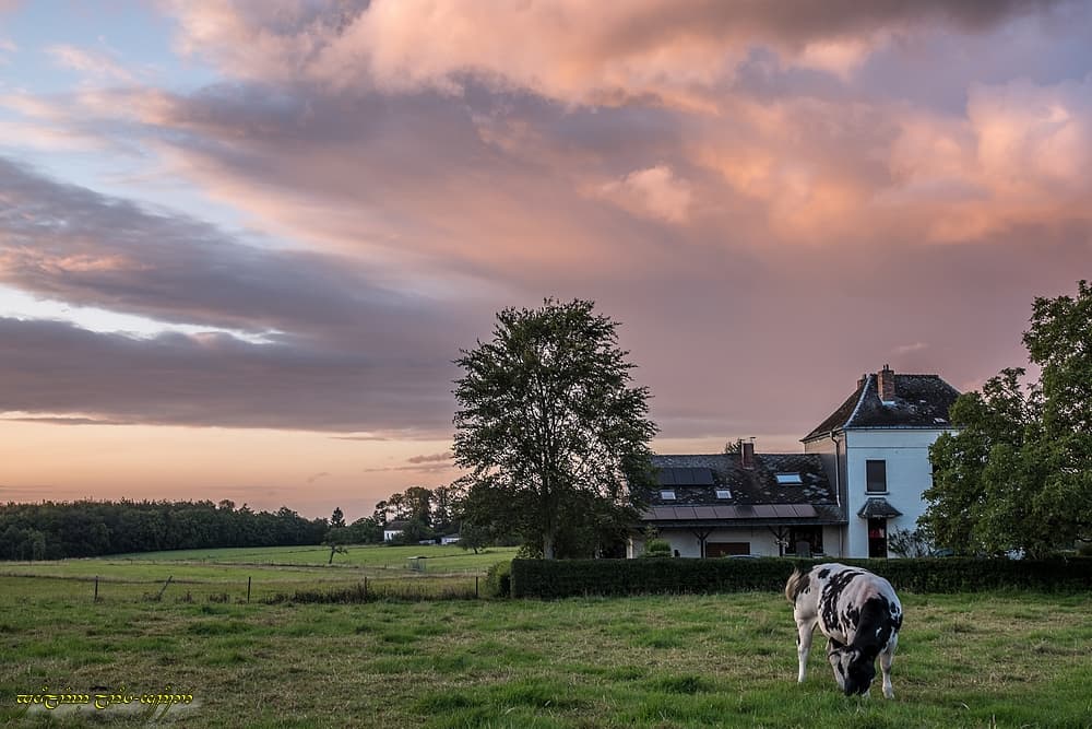 Au terme d'une journée pluvieuse