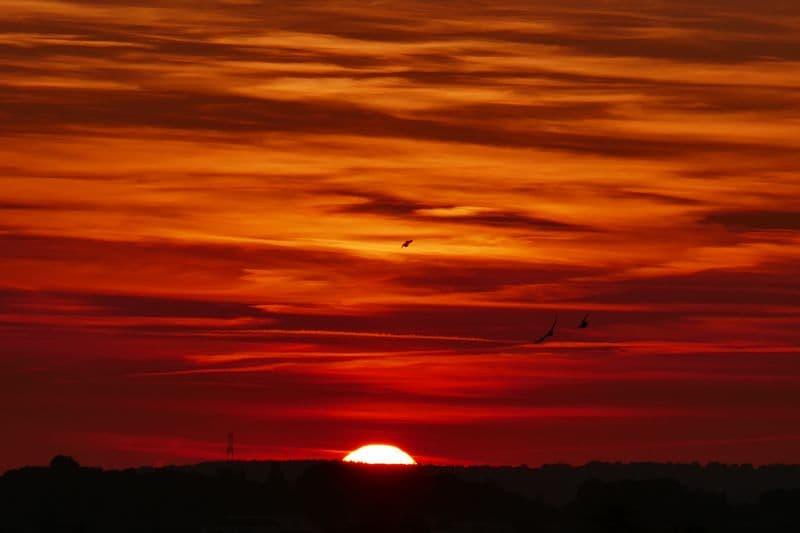 vol d'oiseaux au couchant
