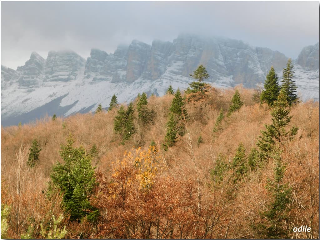 Novembre en Vercors