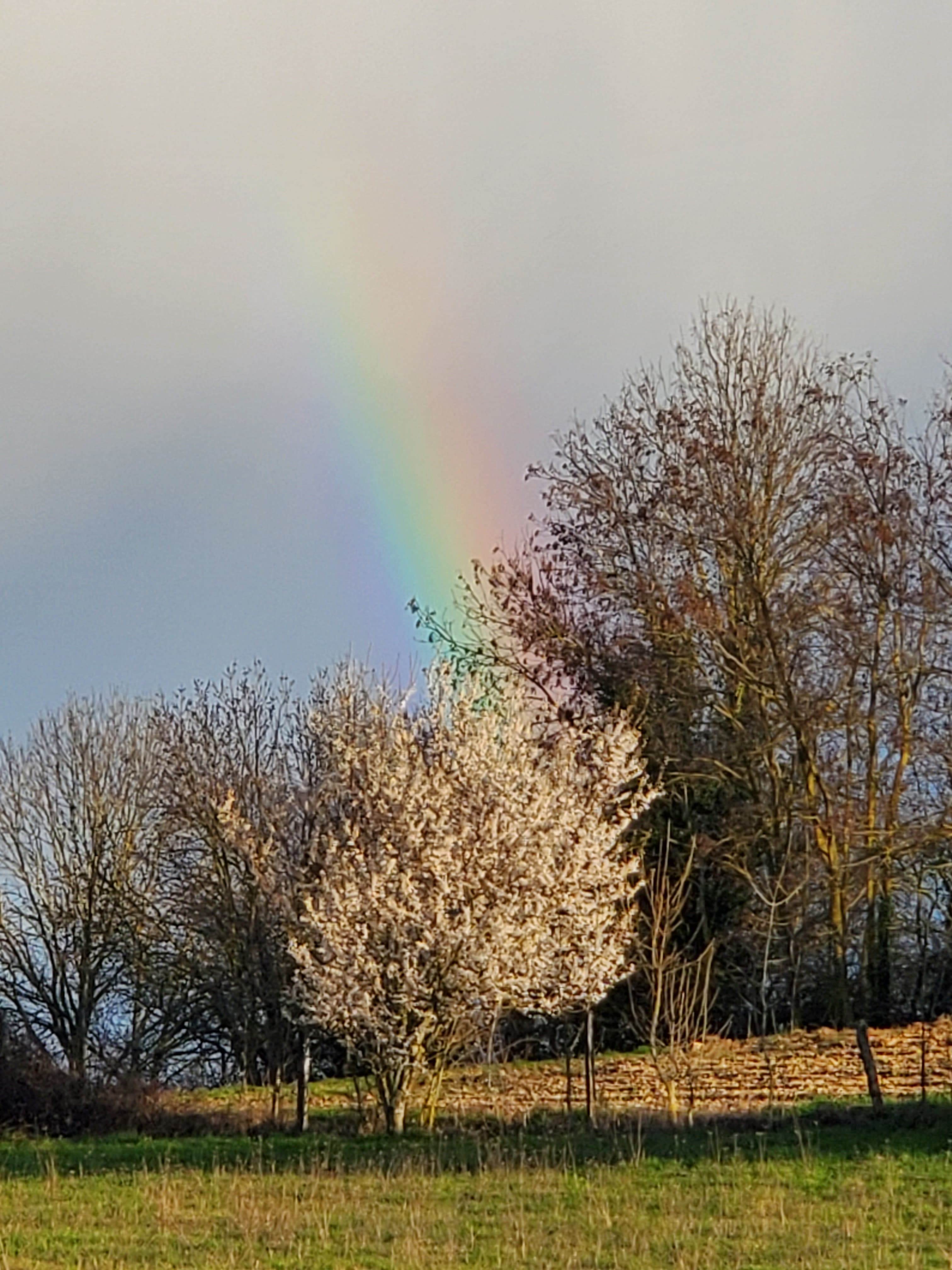 Giboulées de mars