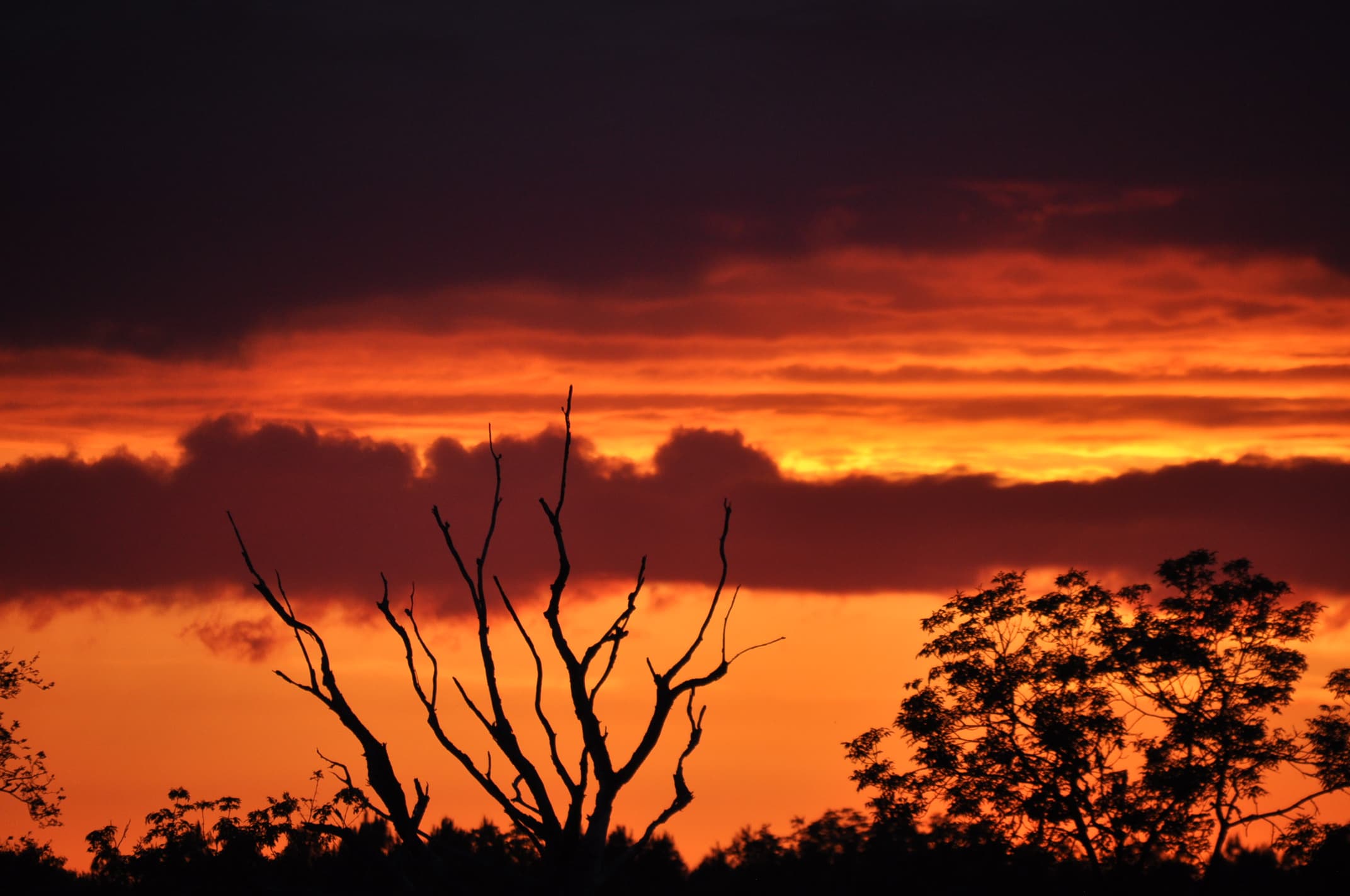 Lorsque le ciel s'embrase !!!