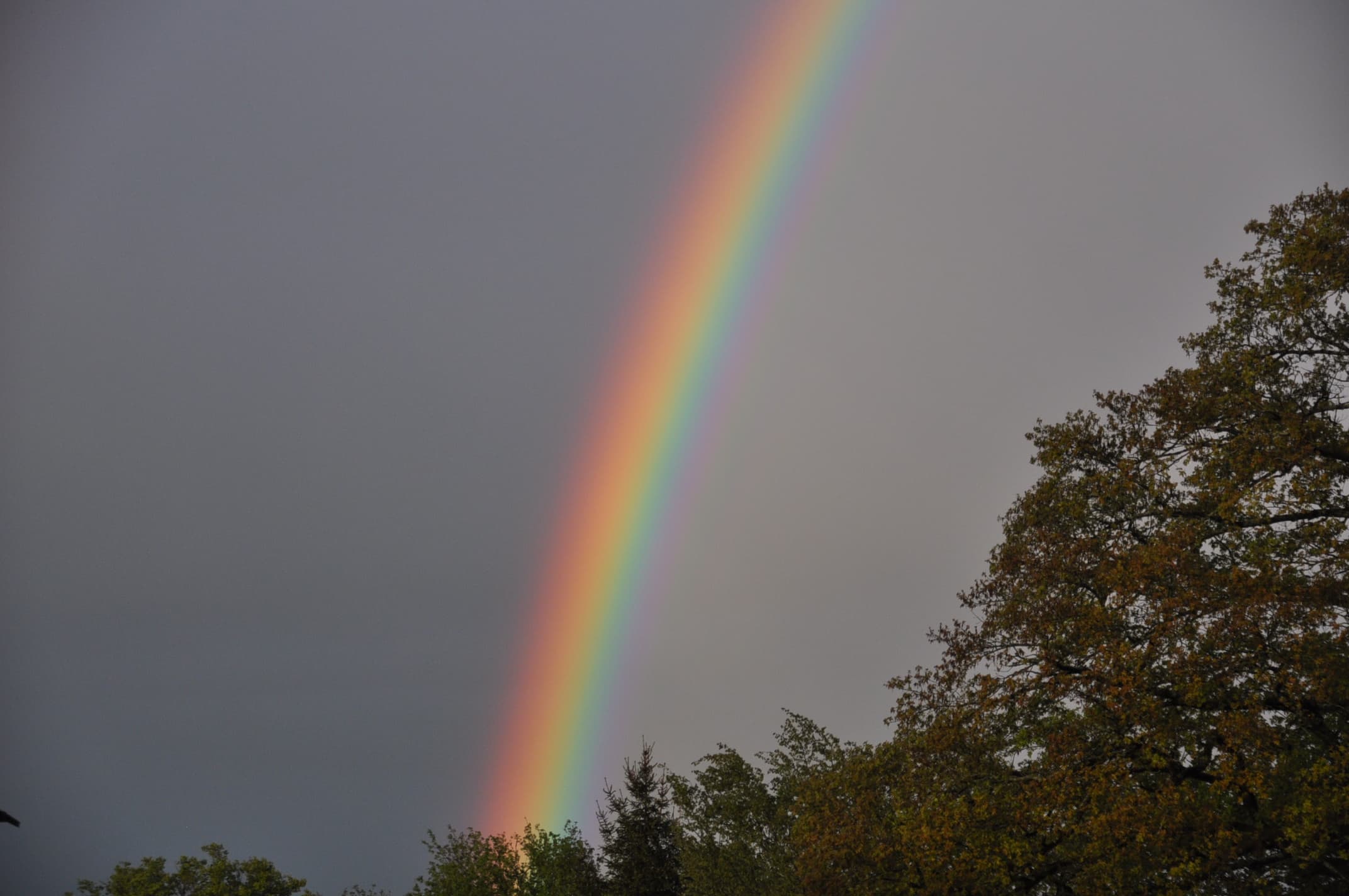 Partage du ciel aprés la pluie !!!l