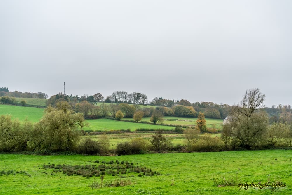 Gris dans la vallée