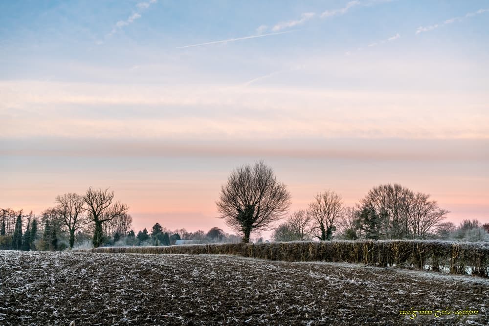Préparation du lever