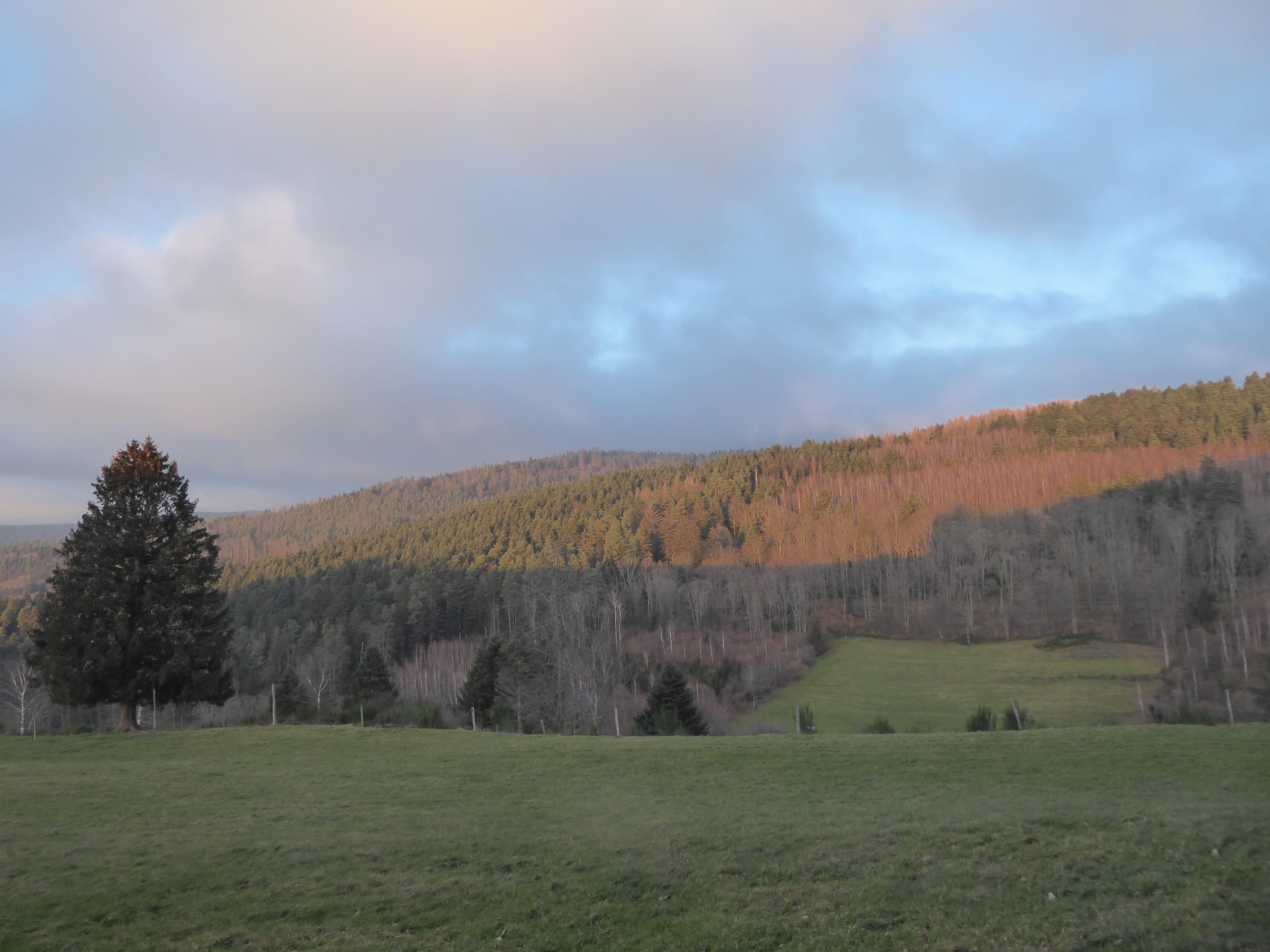 Eclaircie en soirée