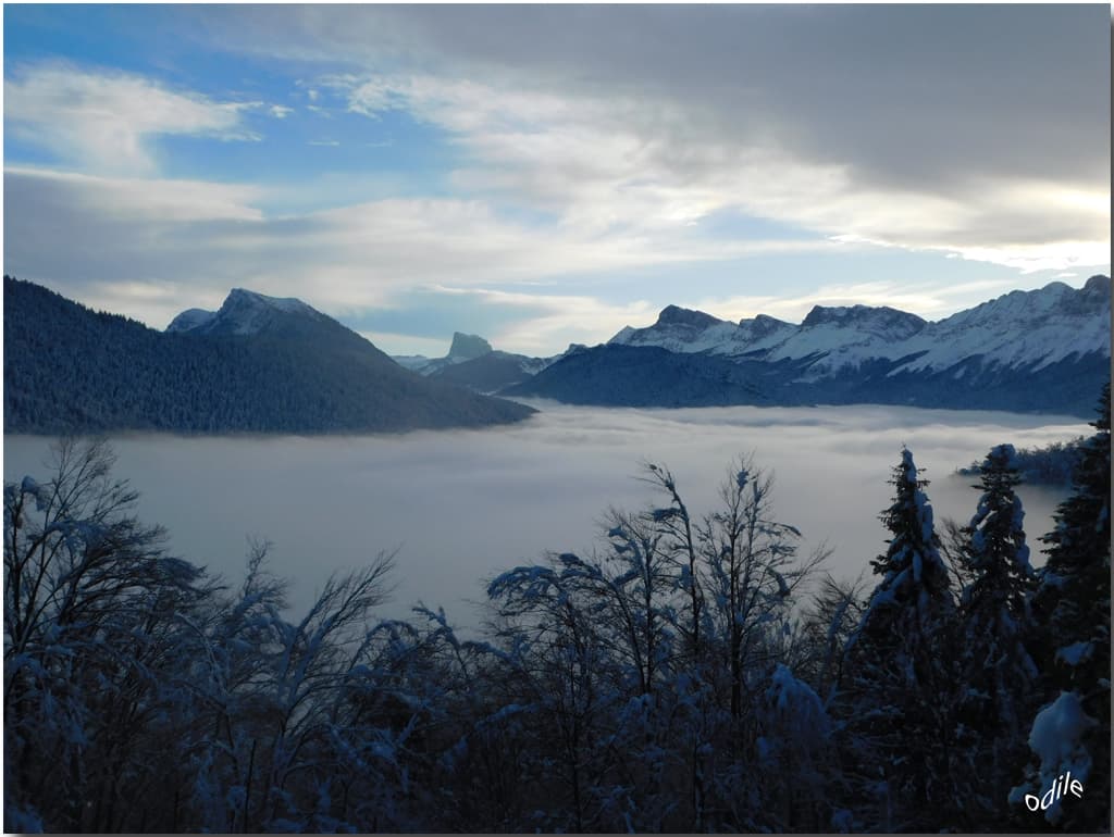 la "mer" de Château-Bernard