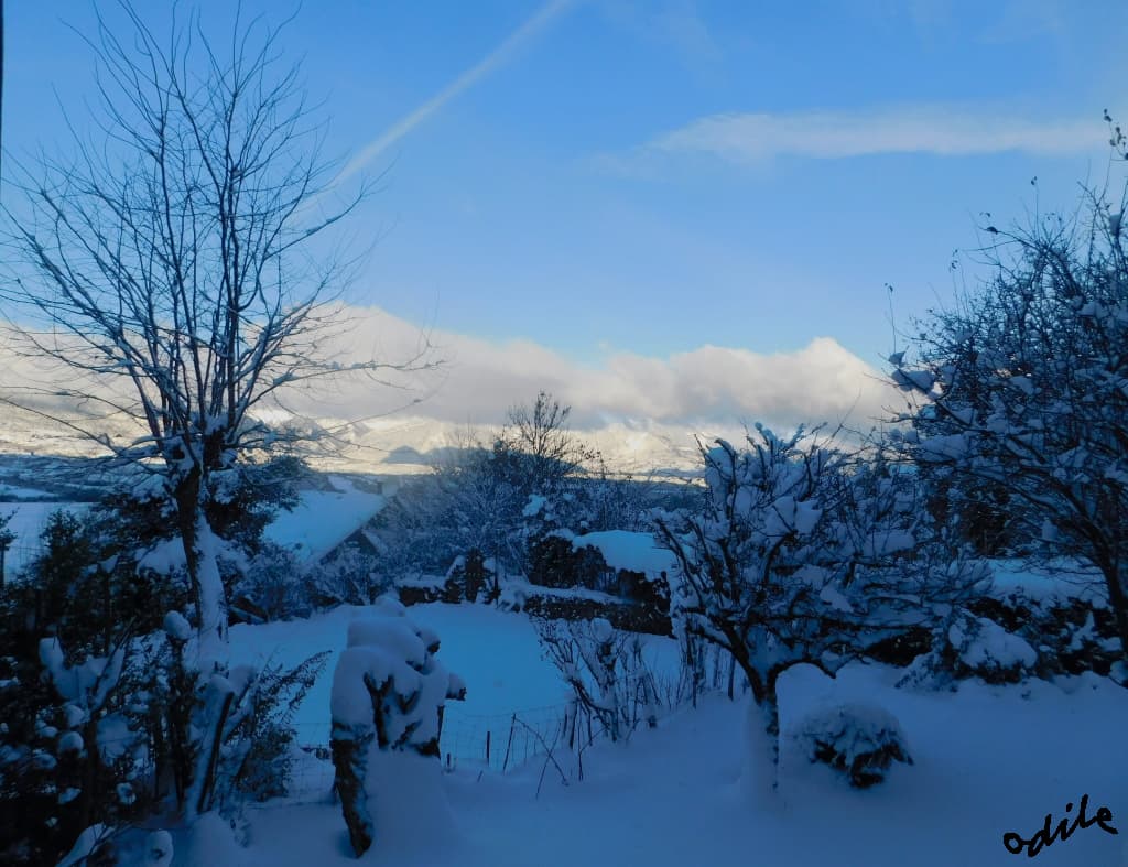 Fin de l'épisode neigeux