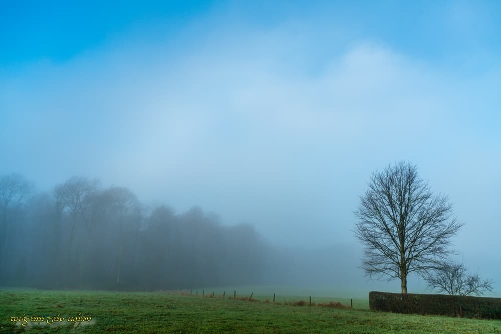 Brouillard en voie de dissipation