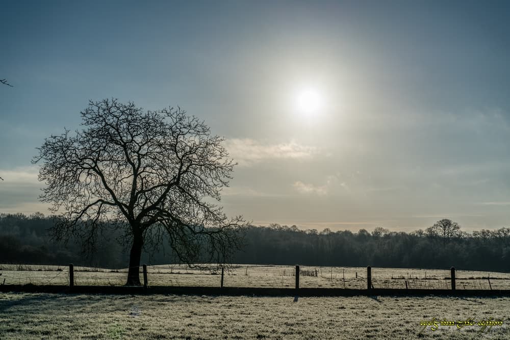Fraîcheur ensoleillée