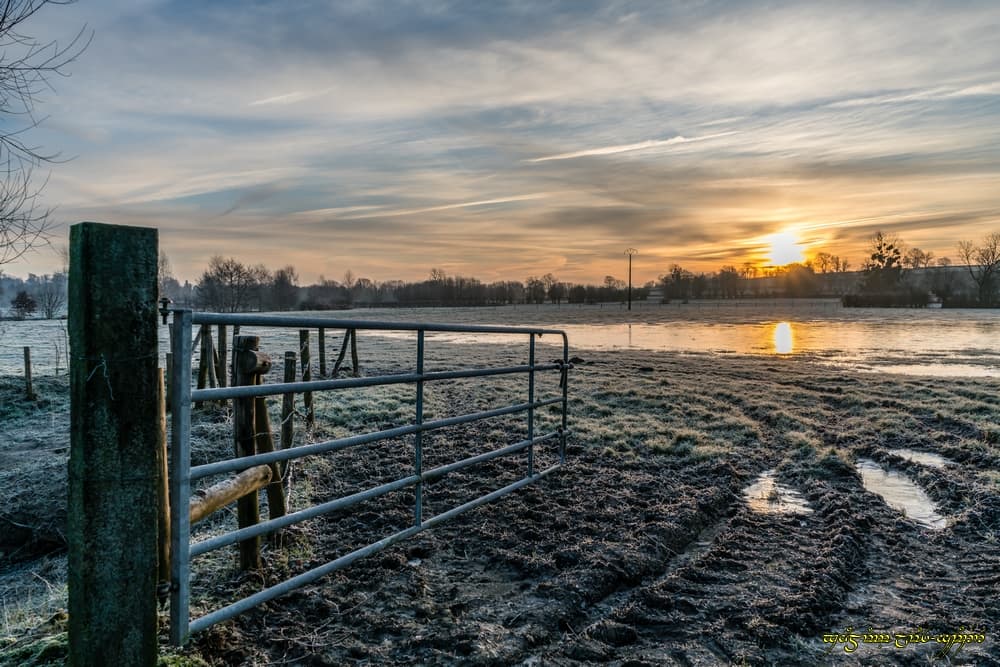 Prairie glacée et inondée