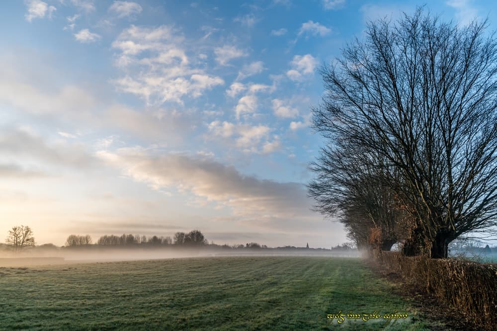 Lumière du bocage