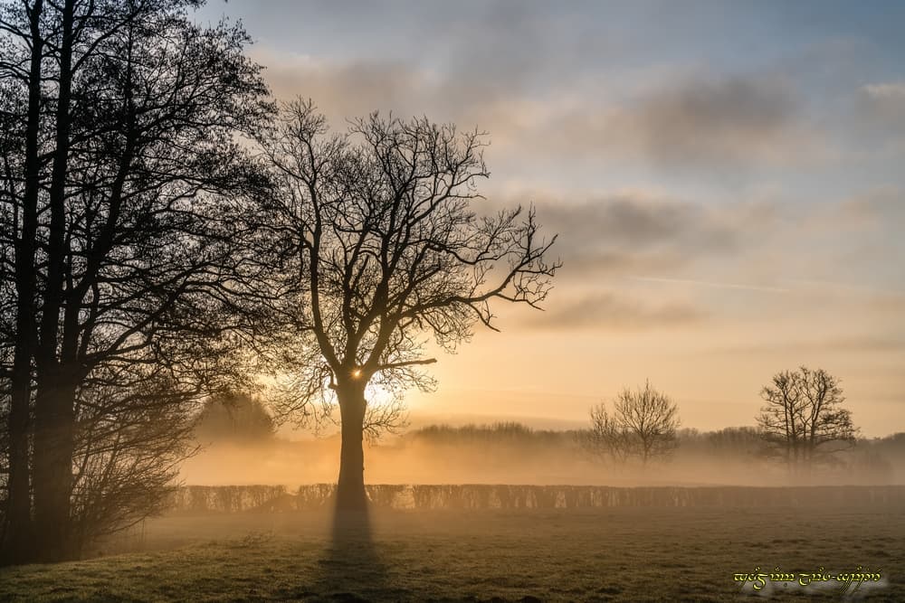 Brume colorée