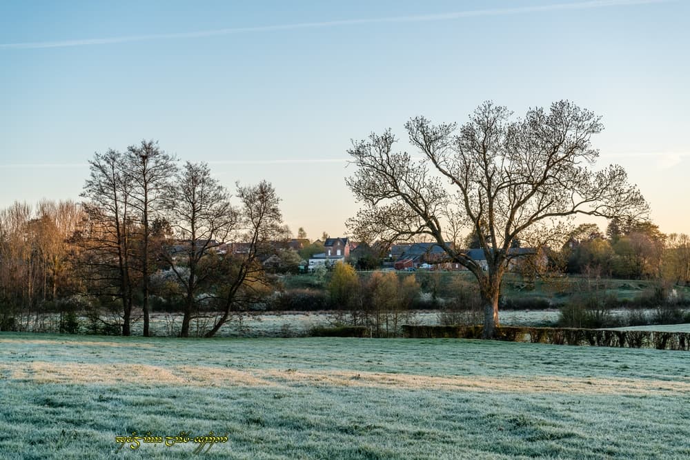 Autre vue sur le givre