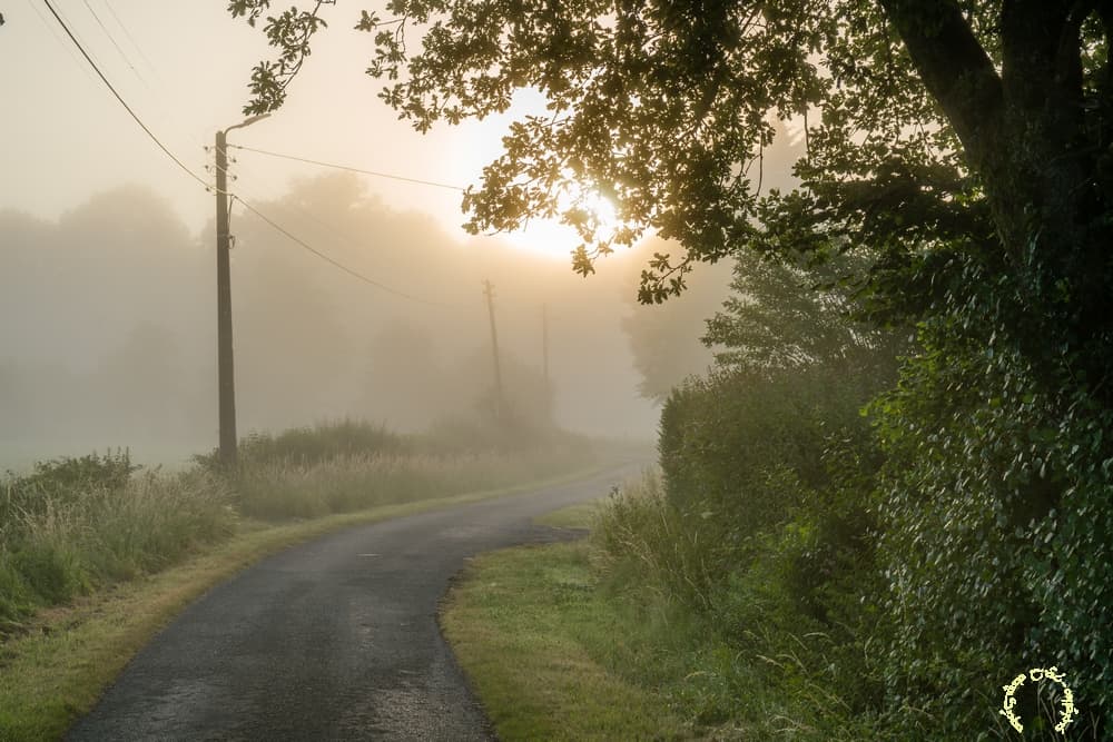 Le sentier lumineux