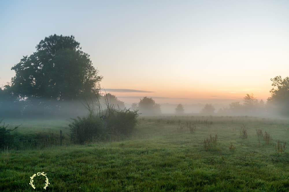 Un peu de brume en fond de vallée