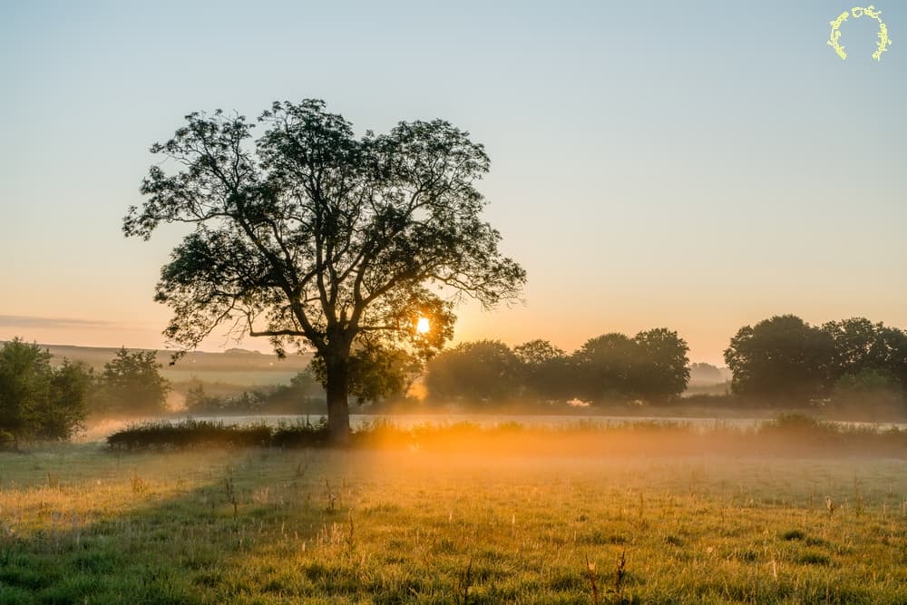 Des couleurs et de la brume