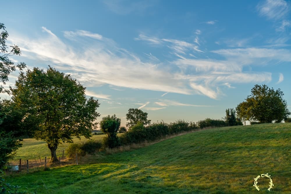 Cirrus en cavale