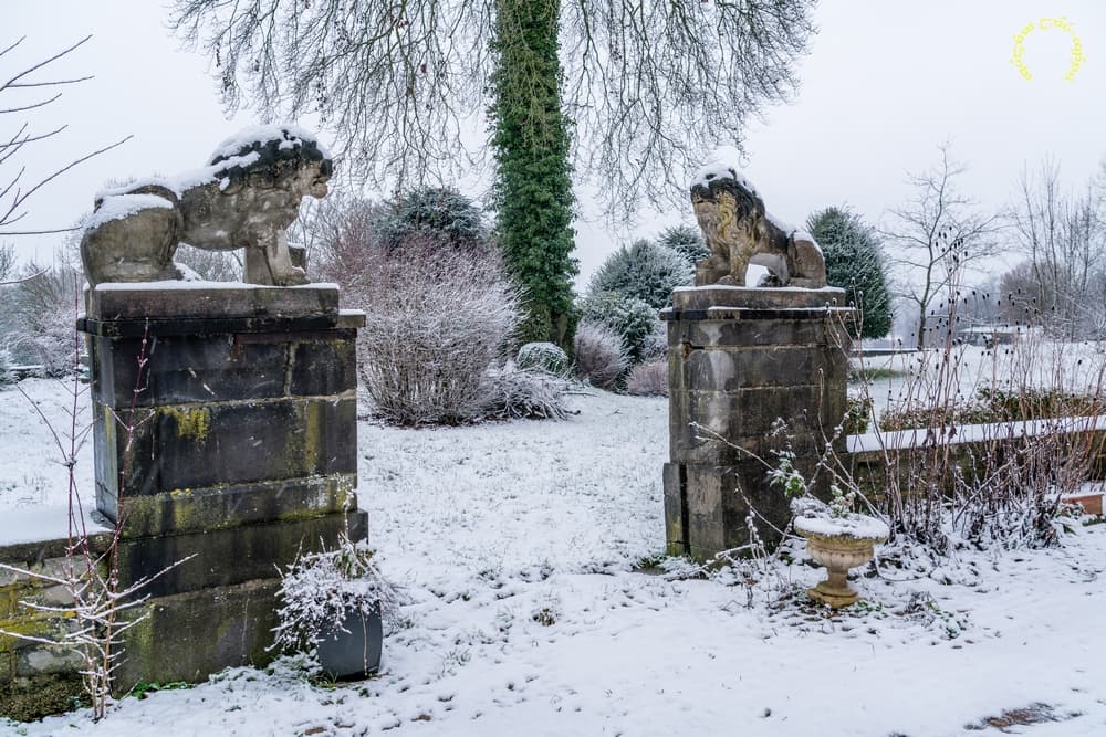 Rugir dans la fraîcheur