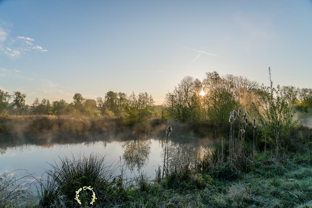 Les berges givrées
