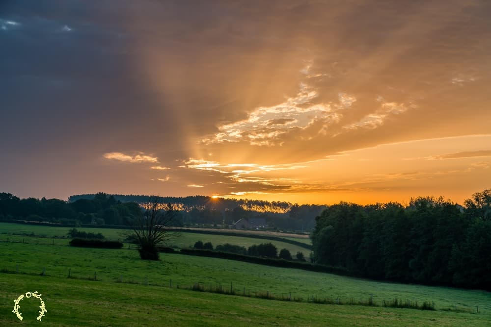 Quelques rayons