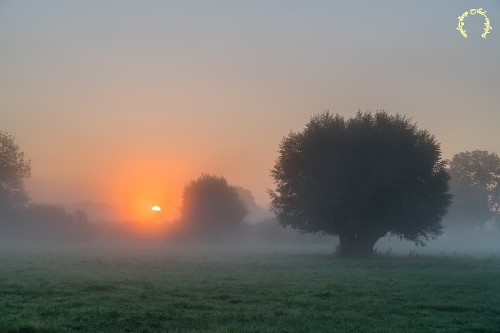 Lever vaporeux