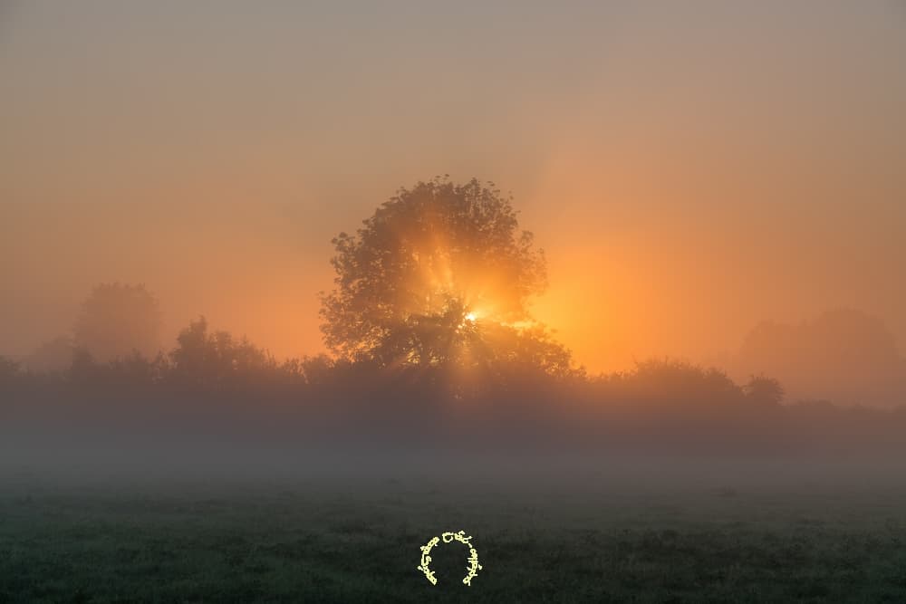 Rayons de couleur