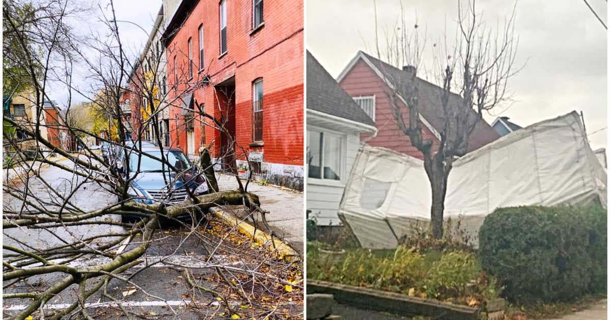 Image d'illustration pour Tempête au Québec - la pire catastrophe depuis 1998