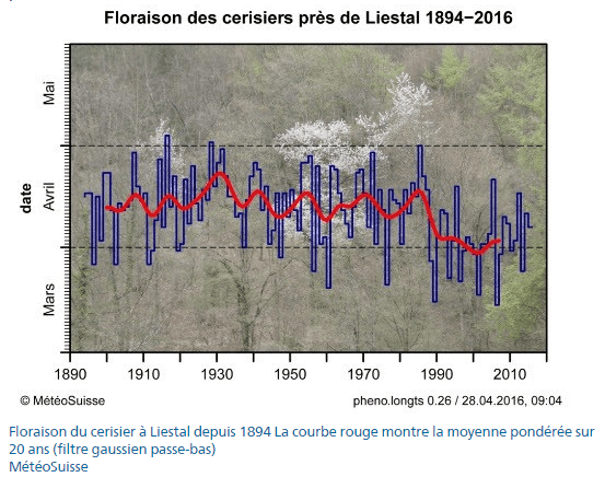 Image d'illustration pour Eclosion du premier bourgeon du marronnier de Génève