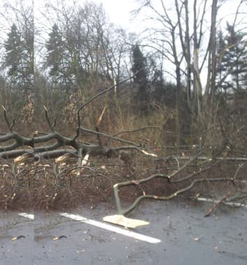 Image d'illustration pour Suivi de la dépression Qumaira - tempête et inondations