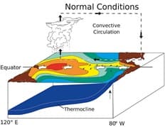Image d'illustration pour L'épisode El-Nino 2015 / 2016 est terminé