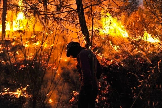 Image d'illustration pour Incendies majeurs au Portugal