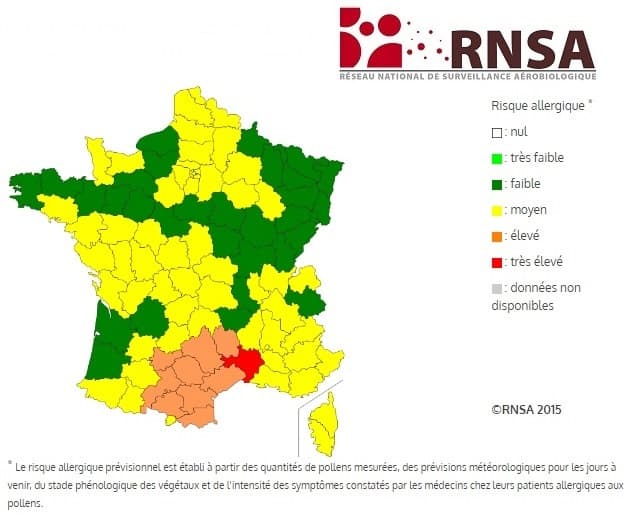 Image d'illustration pour Les pollens de graminées succèdent à ceux de bouleau