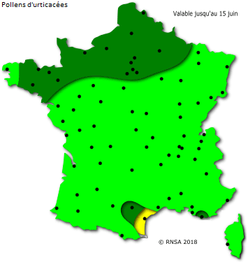 Image d'illustration pour Orages et pollens de graminées favorisent la crise d'asthme