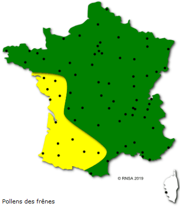 Image d'illustration pour Végétation en avance, pollens et allergies