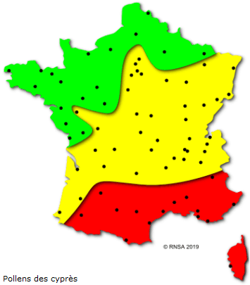 Image d'illustration pour Végétation en avance, pollens et allergies
