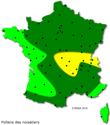 Image d'illustration pour Végétation en avance, pollens et allergies