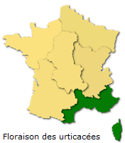 Image d'illustration pour Végétation en avance, pollens et allergies