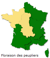 Image d'illustration pour Végétation en avance, pollens et allergies