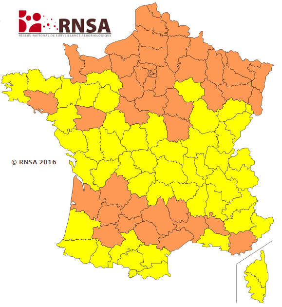 Image d'illustration pour Le retour du soleil favorisera la dispersion des pollens