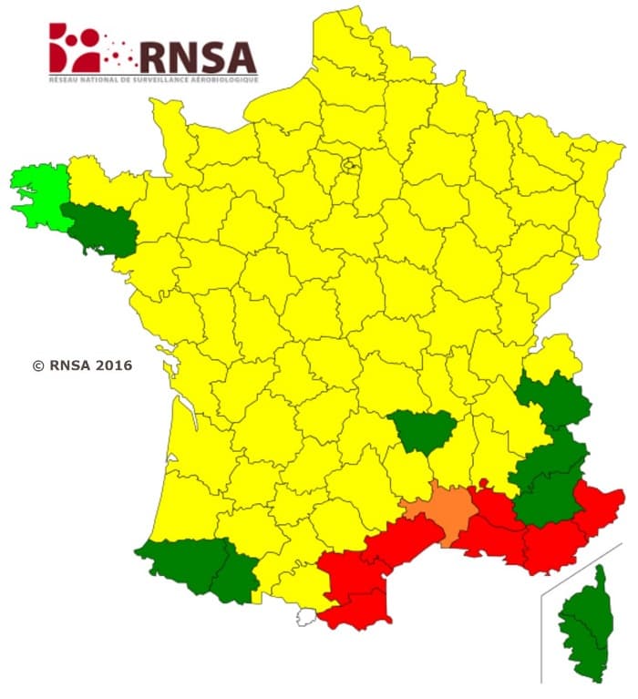 Image d'illustration pour Les pollens provoquent un risque d'allergie de plus en plus élevé
