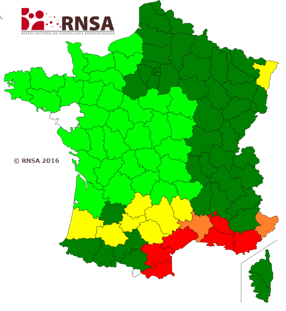 Image d'illustration pour Oiseaux migrateurs et pollens annoncent l'arrivée du printemps
